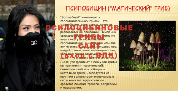герыч Алзамай