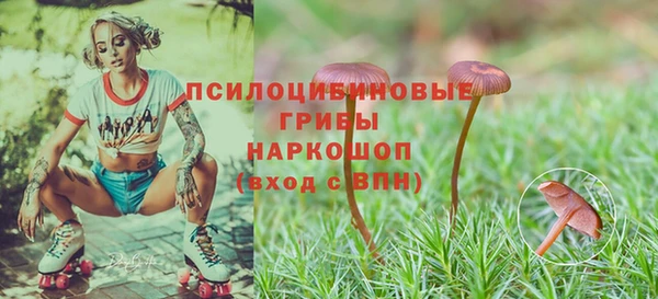 круглые Алексин